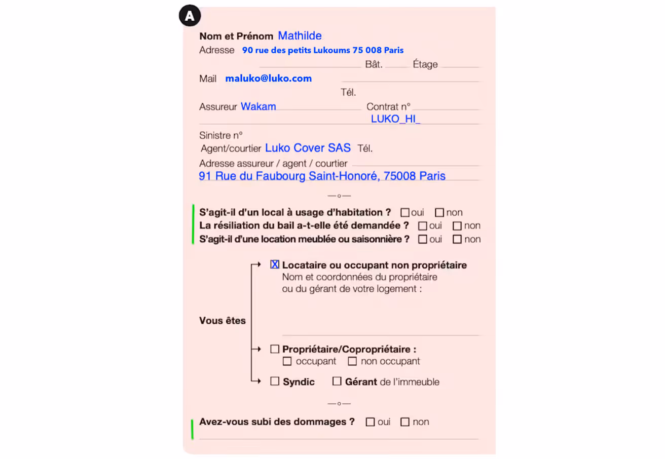 Constat amiable dégat des eaux zoom