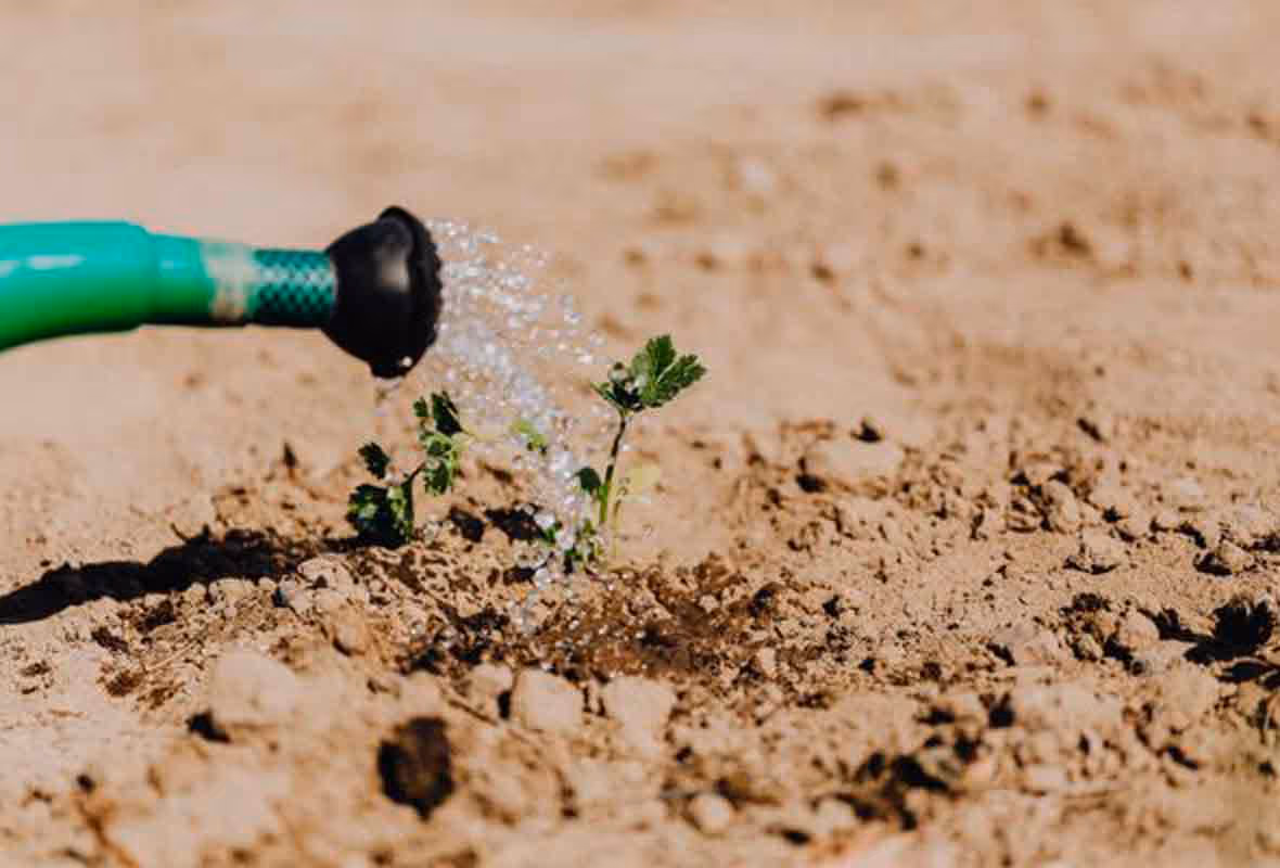 Canalisations chez voisin