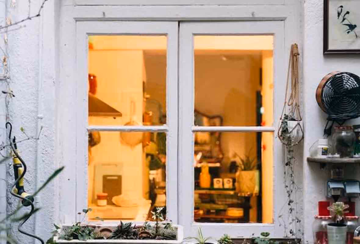 Fourmis dans la maison : comment s'en débarrasser naturellement