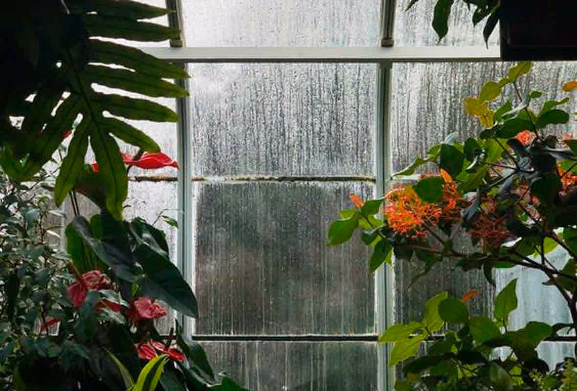 L’assurance catastrophe naturelle