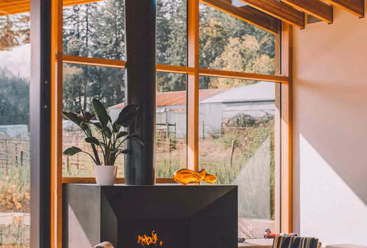 Insectes xylophages : comment s'en débarrasser ?