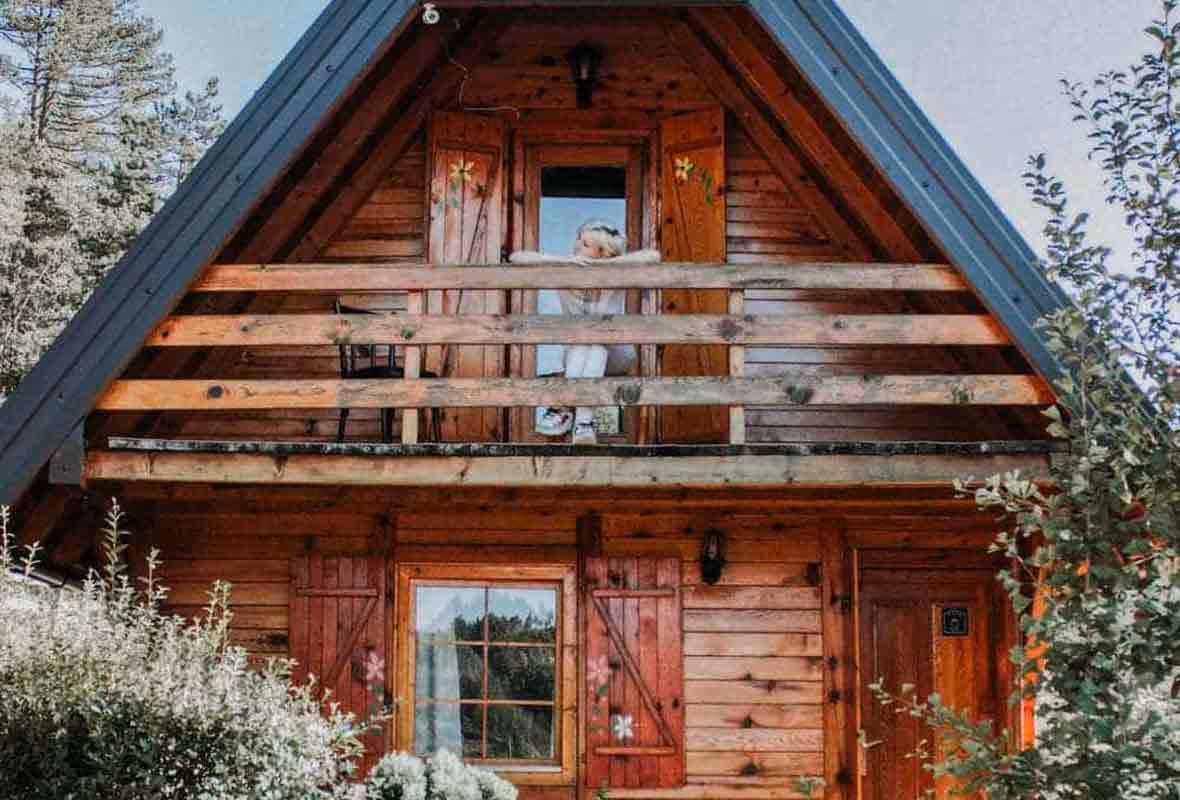 Mérule : quelle indemnisation par l'assurance habitation ?