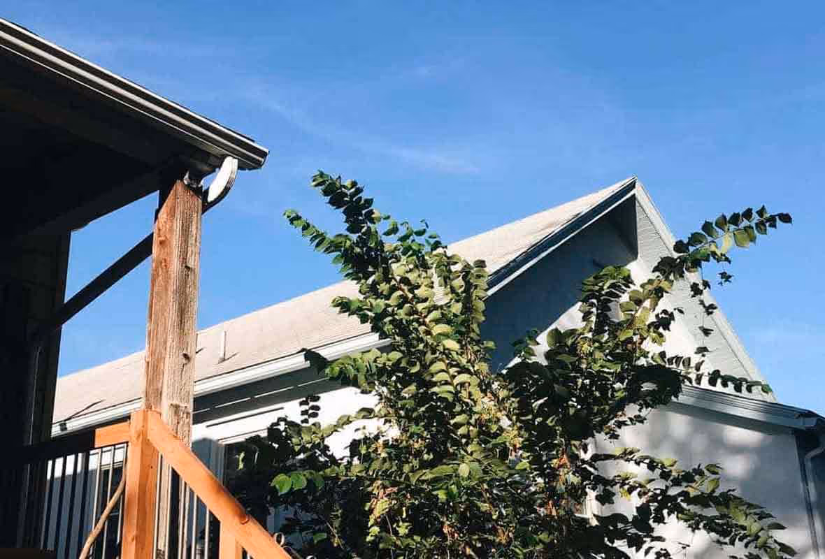 Élagage des arbres la réglementation en cas de litiges