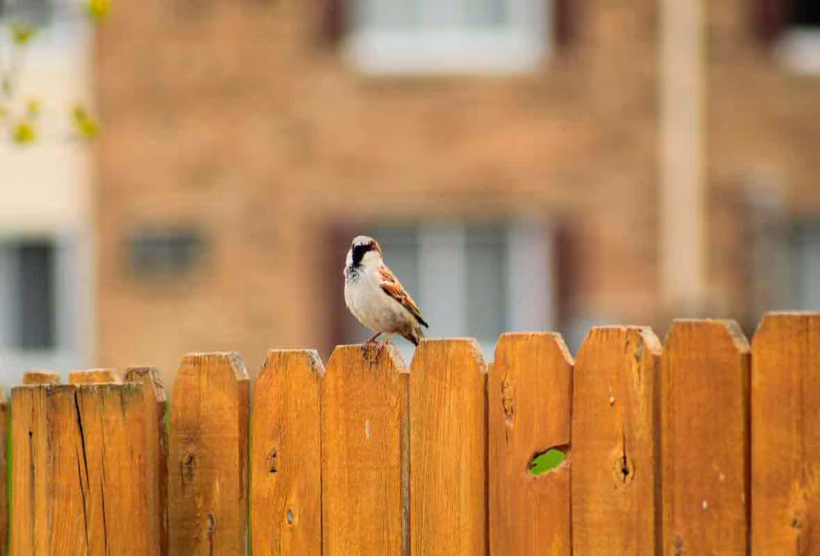 La règlementation de la clôture entre voisins : guide complet