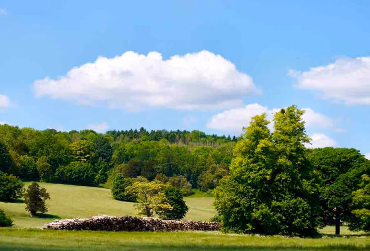 Terrain non viabilisé